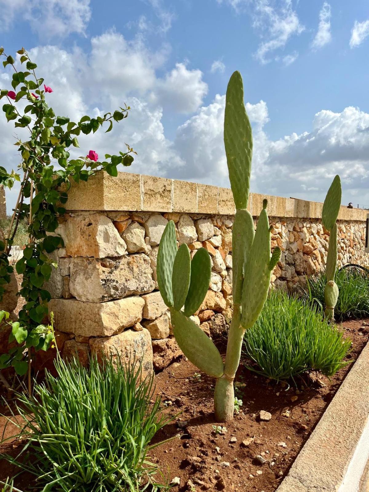 Masseria Voluzzi Копертіно Екстер'єр фото